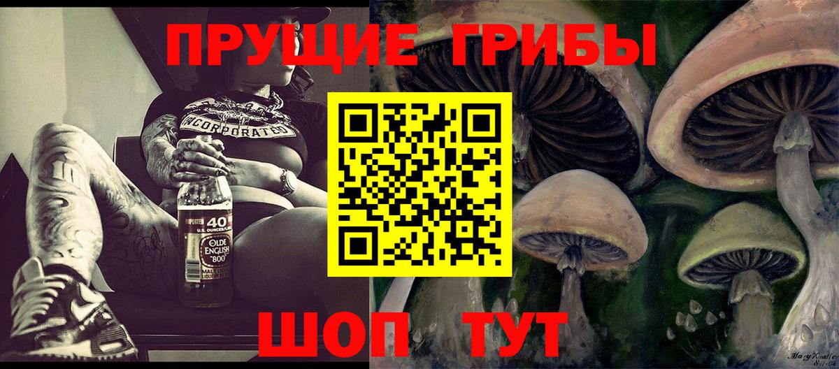 Галлюциногенные грибы Magic Shrooms  Вход с VPN  Галлюциногенные грибы Magic Shrooms  Кимовск 